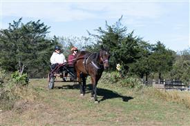 LR-WRF 10182025 Retreat-6511